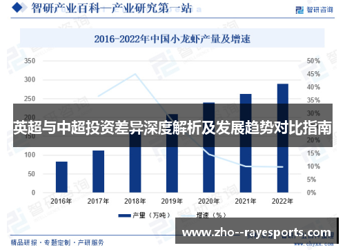 英超与中超投资差异深度解析及发展趋势对比指南